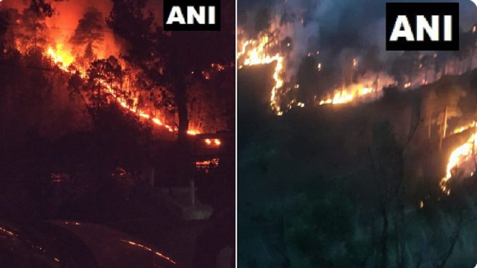 massive fire broke out in the niaka panjgrain and ghambir mughlan forest areas rajouri