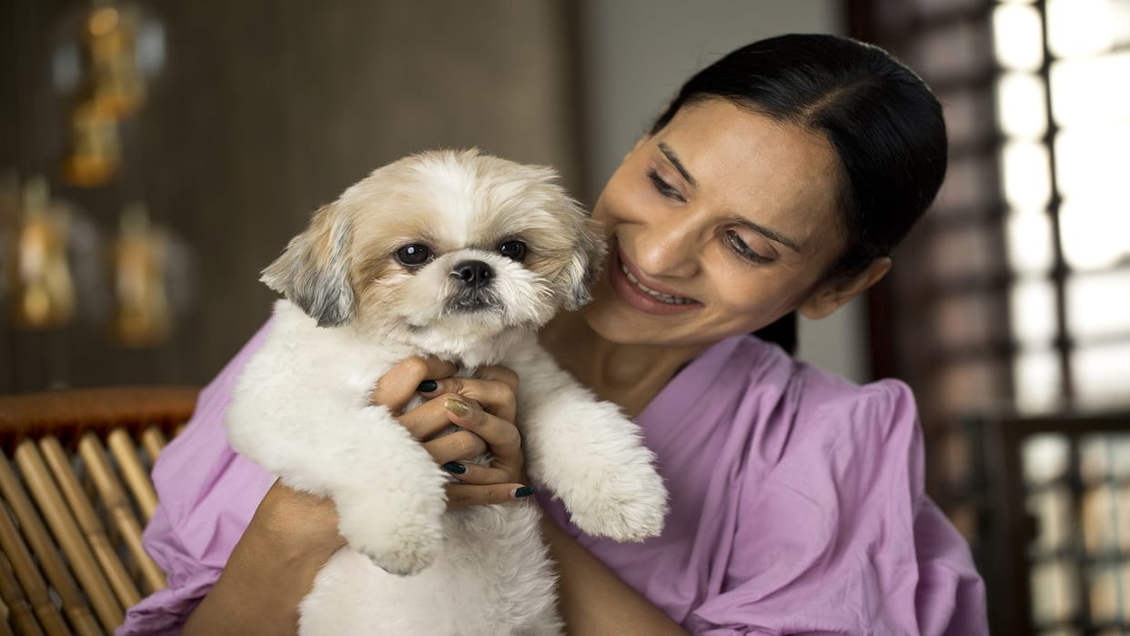 Dog Tips if you are planning to buy a new dog keep these things in your mind