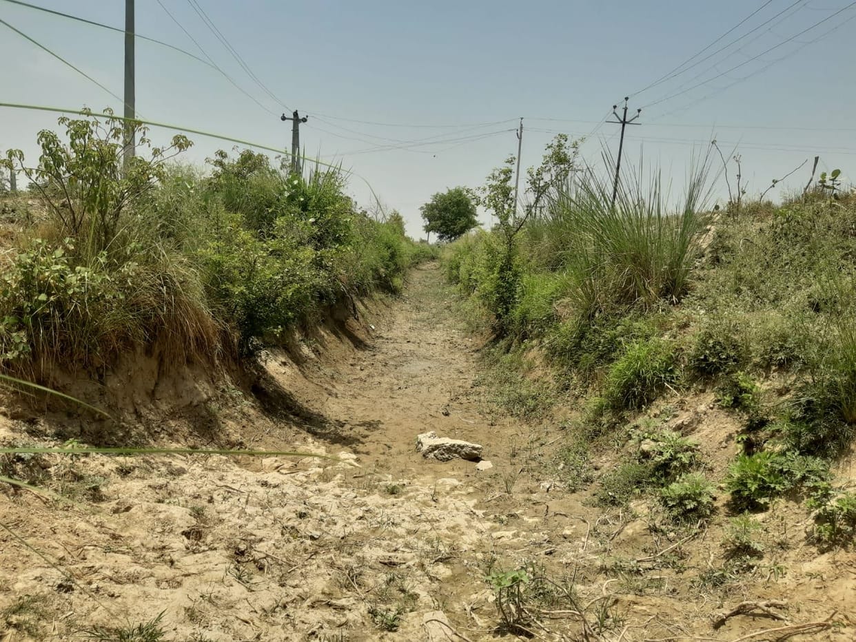 Dried ponds and thirsty wandering animals