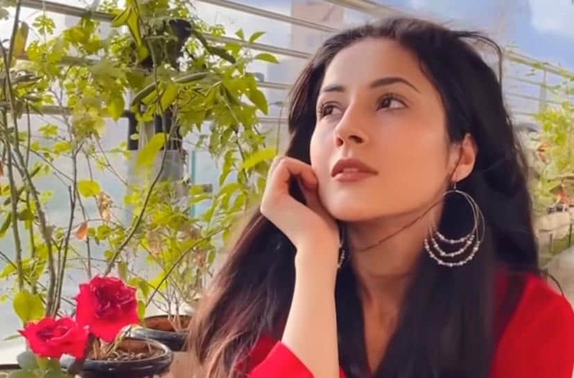 Shehnaaz Gill missed Siddharth Shukla while shooting for Salman Khan Kabhi eid Kabhi diwali film, could not stop tears