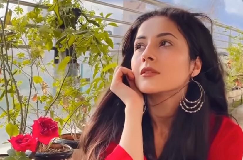 Shehnaaz Gill missed Siddharth Shukla while shooting for Salman Khan Kabhi eid Kabhi diwali film, could not stop tears