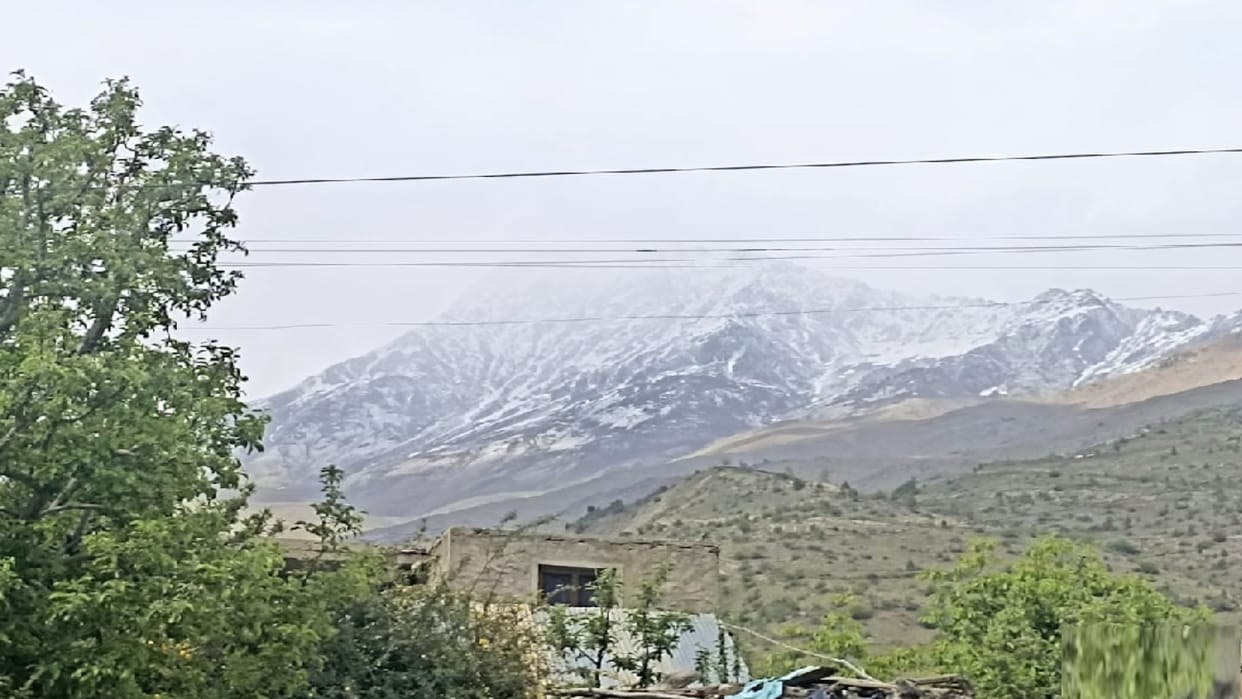 himachal weather update: rainfall predictions for many parts in state, yellow alert for hail storms