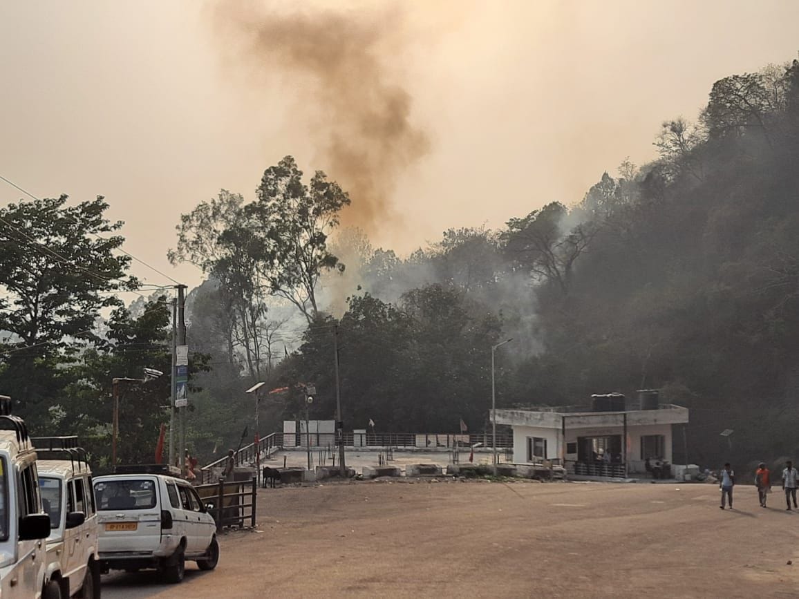 Gaushala in Raunhi, forest burnt in Diyotsiddha
