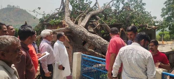 tree fell down on house