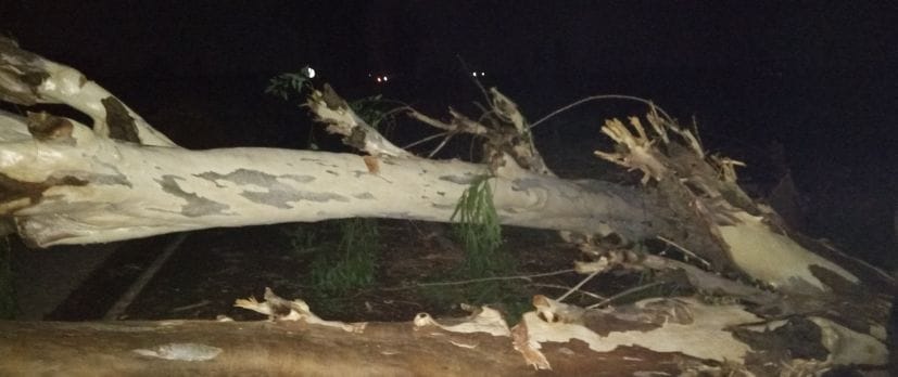 Two including a woman died in storm and rain