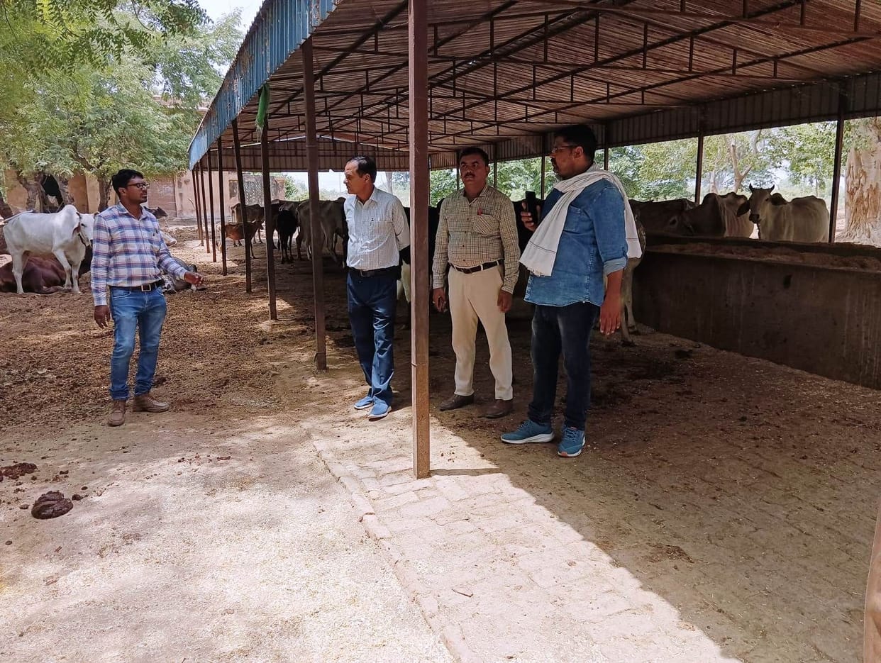Chaos found in Gaushala, Panchayat Secretary removed