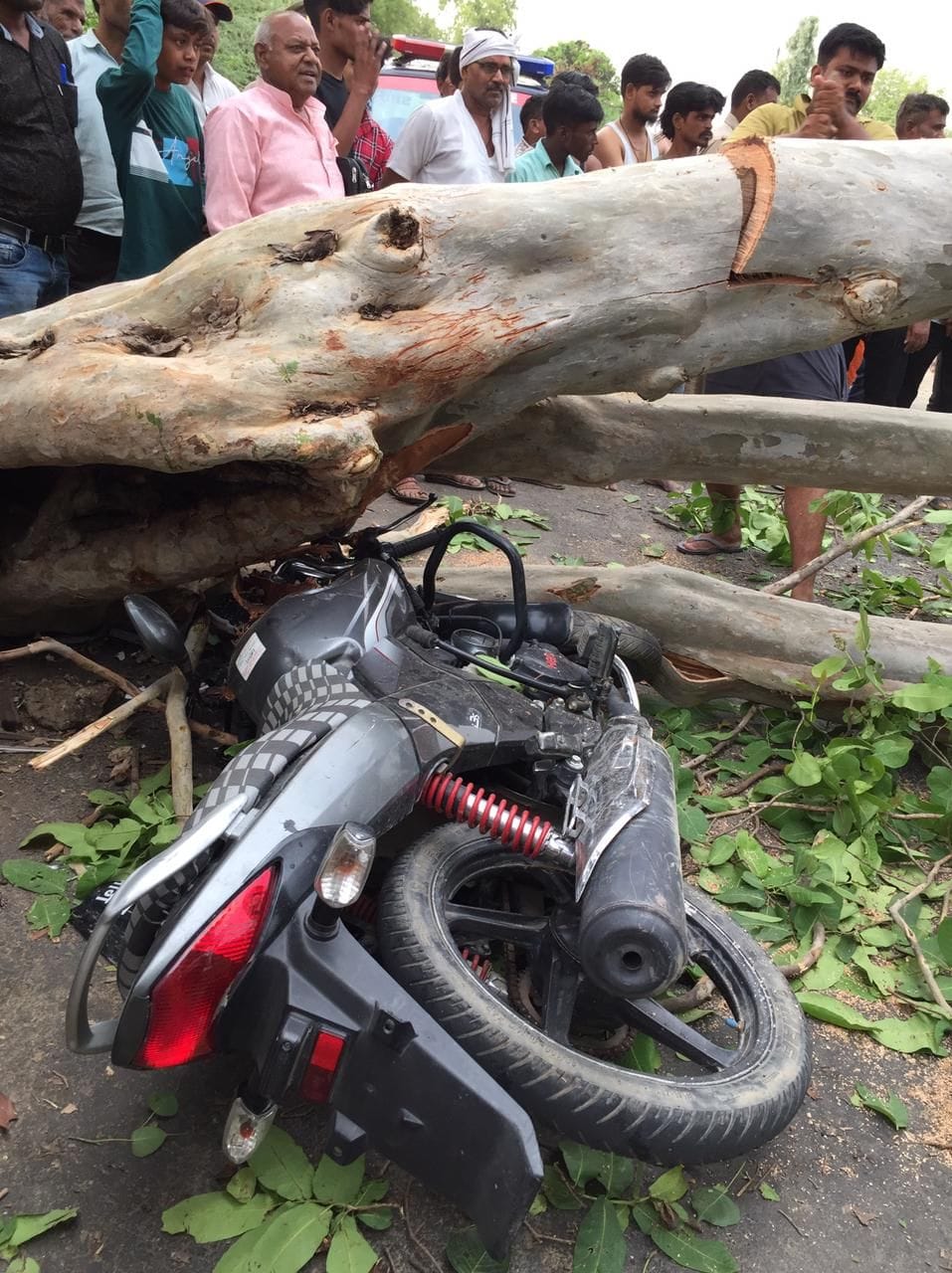 hardoi news,Tree fell on security personnel in storm, injured