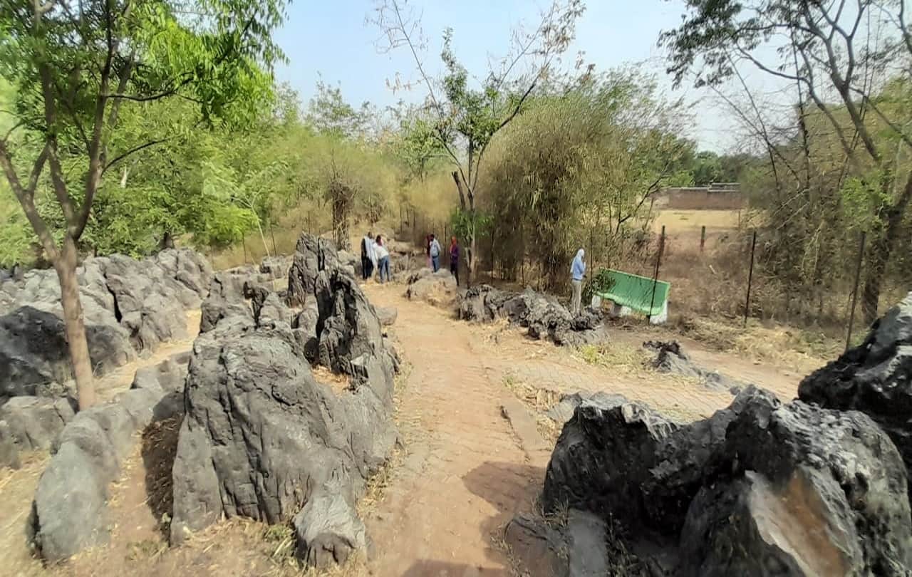 UP Governor Anandiben Patel visit salkhan fossils park sonbhadra today know about it see photos