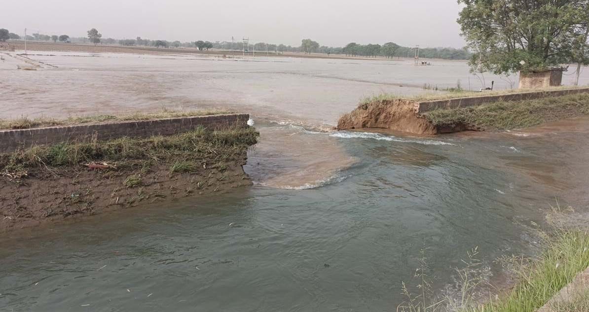 Mammad branch broken, 40 acres of crop submerged