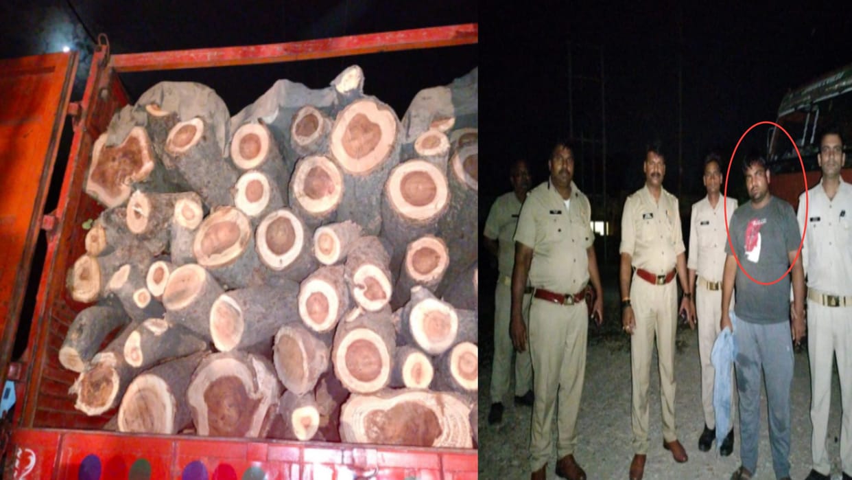 Saharanpur: Police caught a truck full of wood worth of six lakh rupees, one arrested