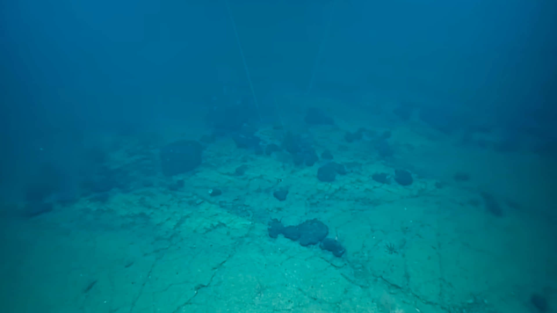 Mysterious Road scientists found another world seen inside the ocean