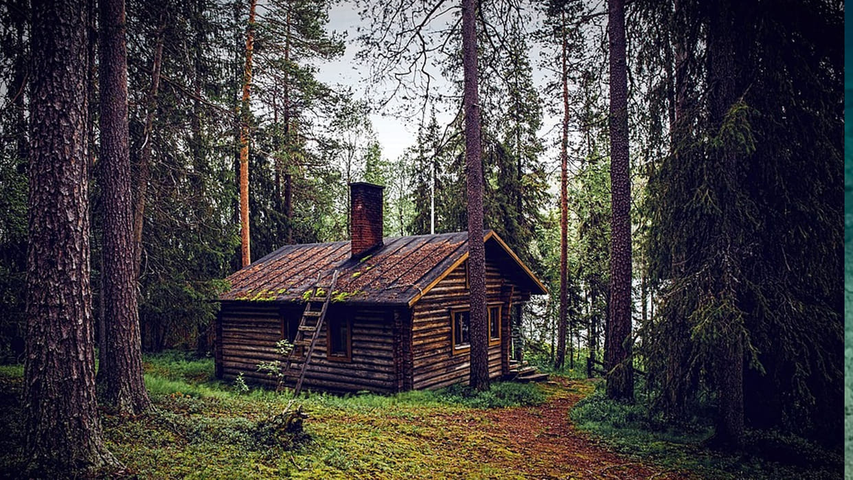 optical illusion can you find a bear in this picture social media users failed