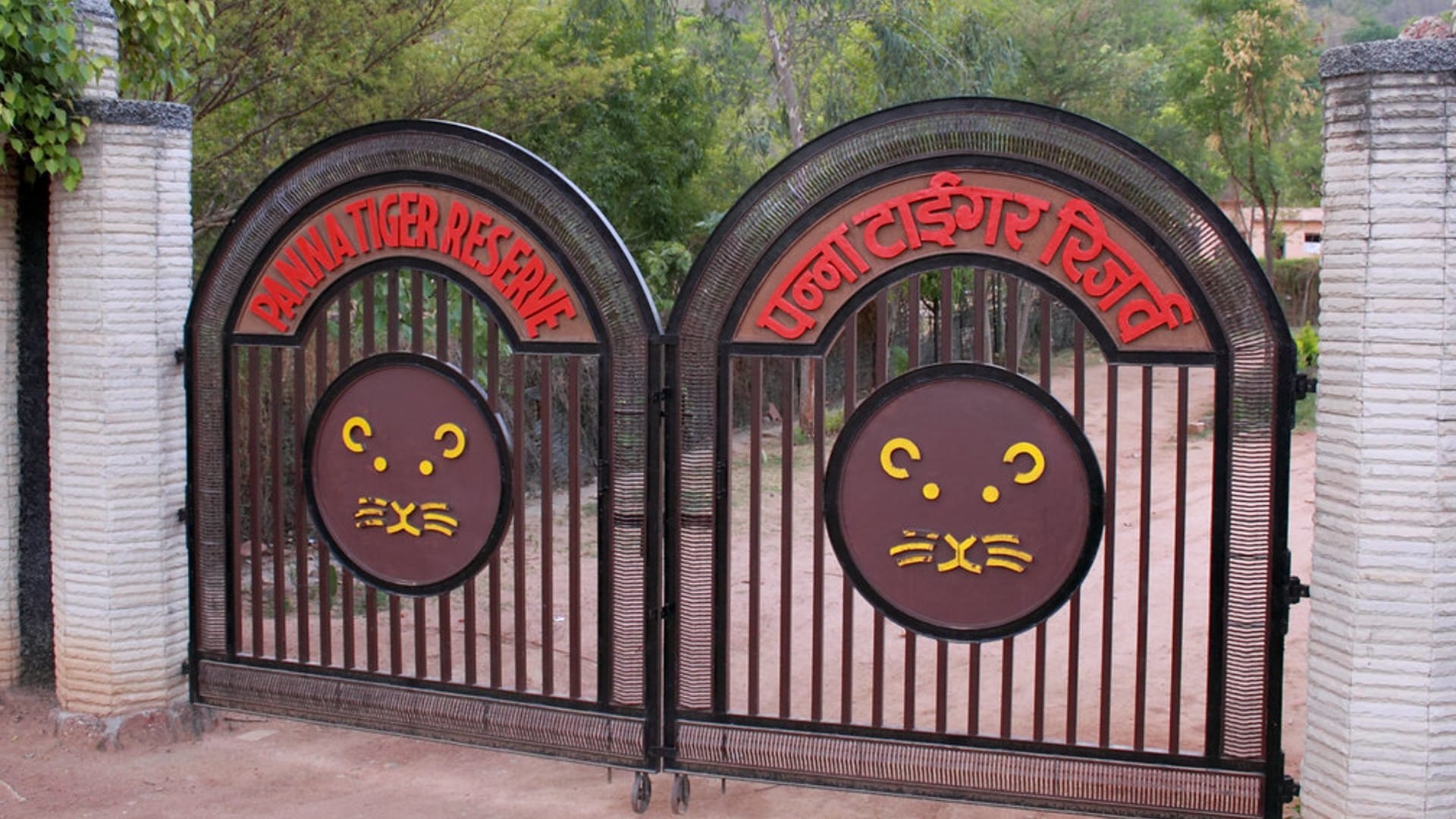 पन्ना टाइगर रिजर्व।