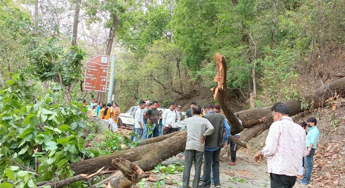 Heavy Rain Creates Havoc