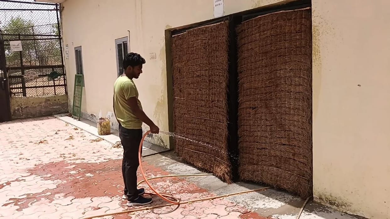 Cooling is being given to the lions by putting khus in the coolers and doors