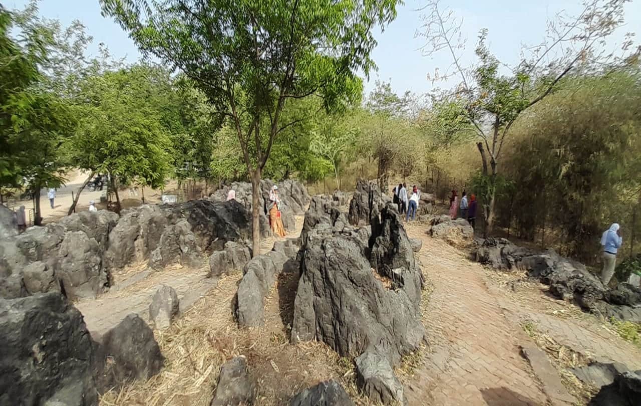 UP Governor Anandiben Patel visit salkhan fossils park sonbhadra today know about it see photos