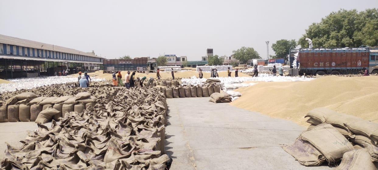 Farmers can now sell wheat at MSP till May 31
