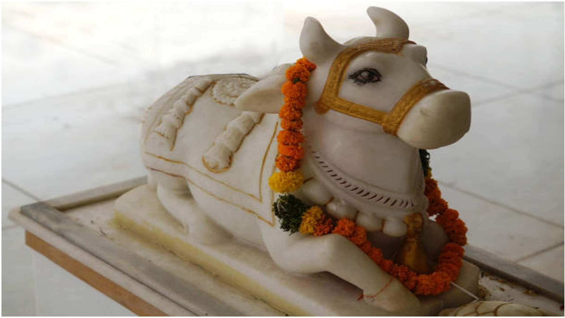 Dream in Sawan month seeing snake trishul damru nandi bail in dream in sawan month