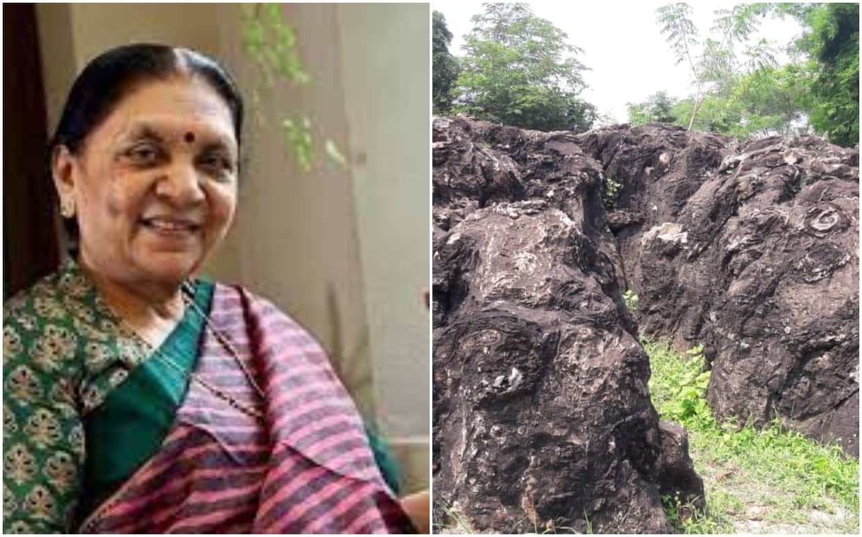 UP Governor Anandiben Patel visit salkhan fossils park sonbhadra today know about it see photos