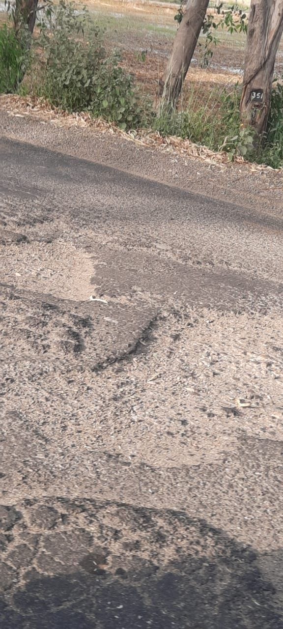 Vehicles hesitating on the road from Titram Mor to Rajound