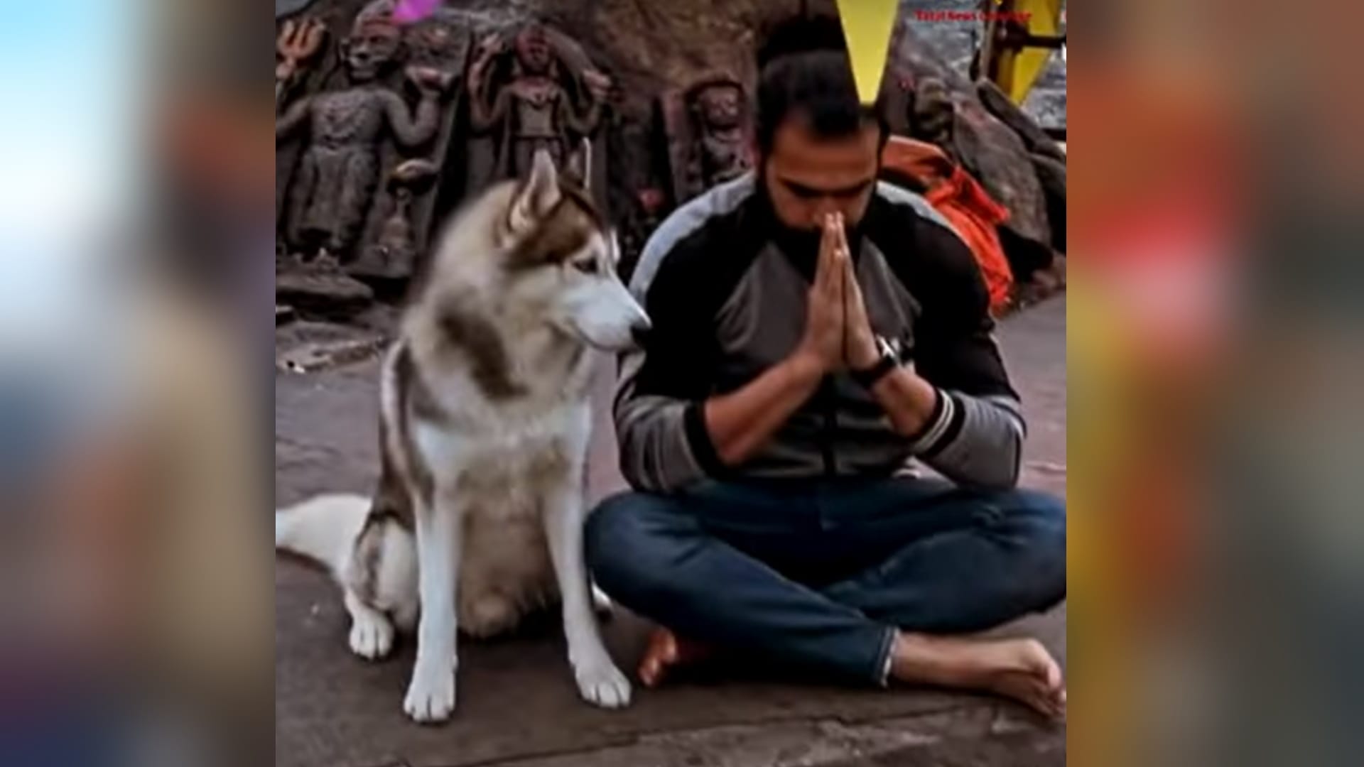 Badrinath kedarnath temple committee gives complaint of pilgrim who brought dog in kedarnath touch nandi from feet