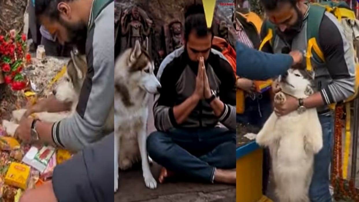 Badrinath kedarnath temple committee gives complaint of pilgrim who brought dog in kedarnath touch nandi from feet