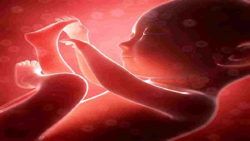 Madras High Court says Child in womb entitled to indian citizenship on Pranav Srinivasan petition