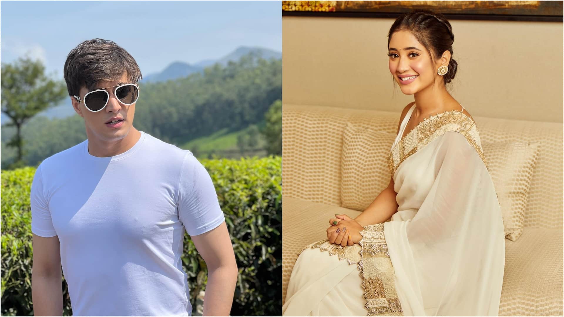 Famous TV Stars Who Are Jobless Today From Divyanka Tripathi To Mohsin Khan
