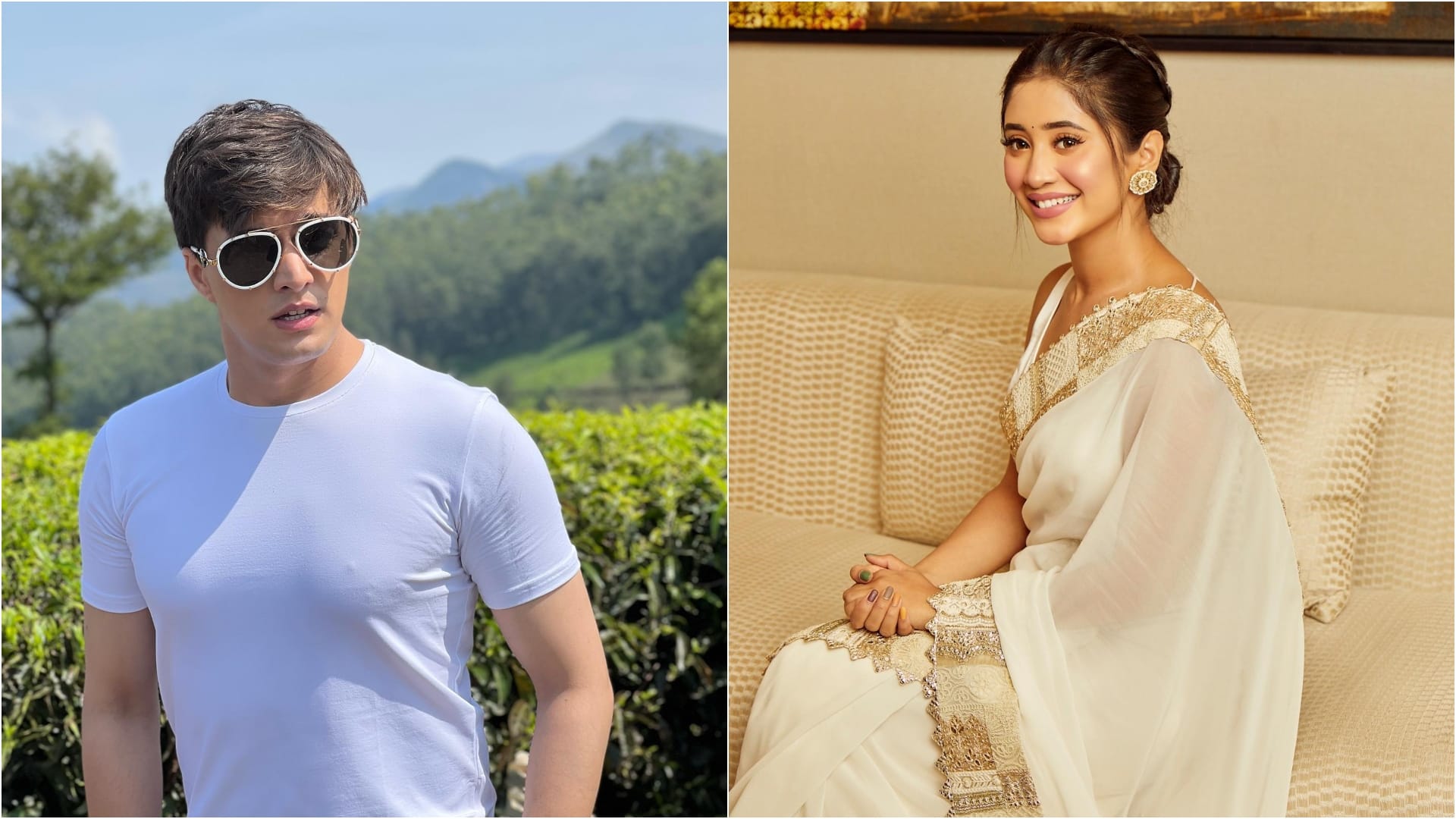 Famous TV Stars Who Are Jobless Today From Divyanka Tripathi To Mohsin Khan