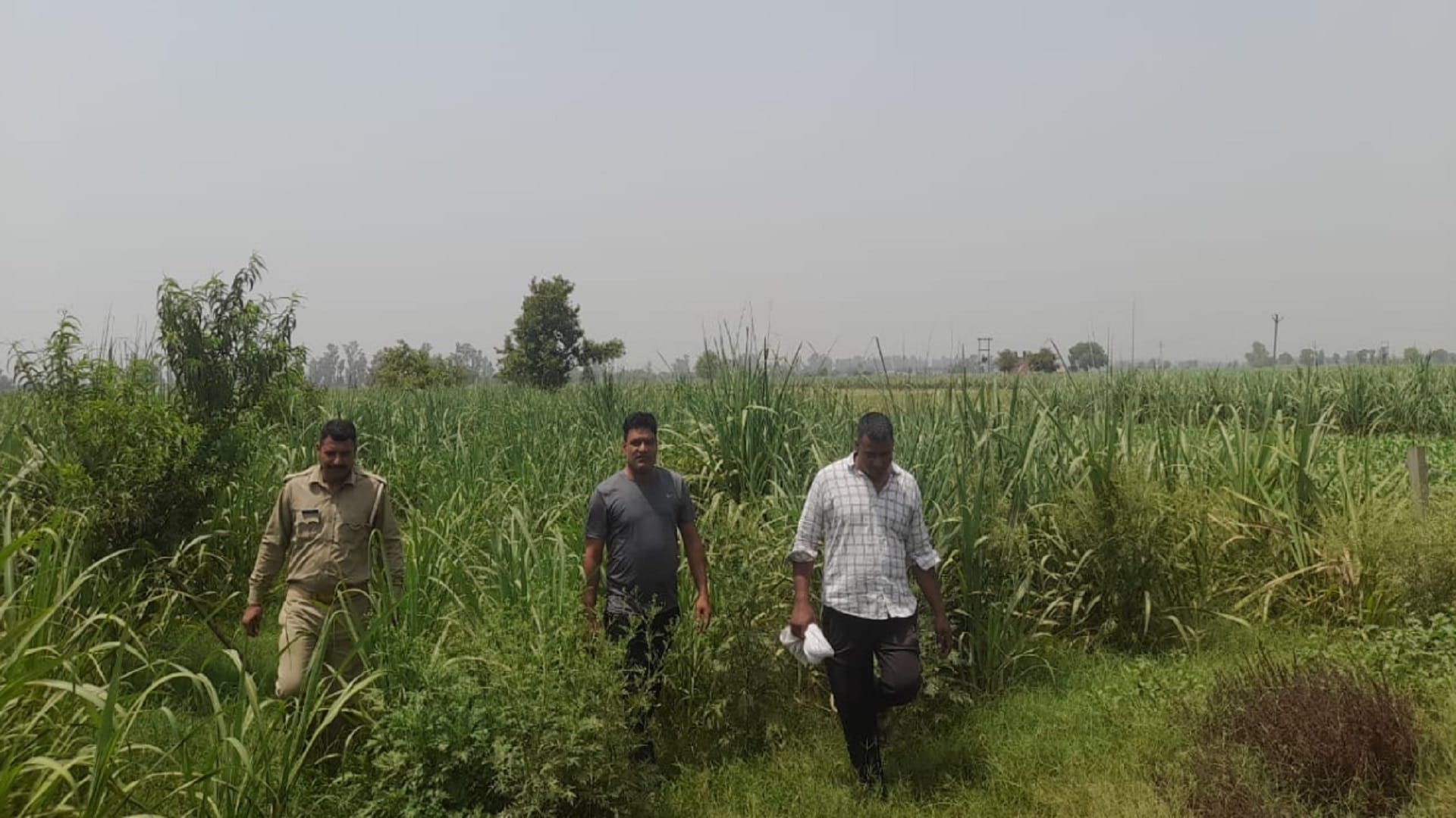 Meerut News: accused arrested in case of Akash murder in Sarurpur but escaped from police station