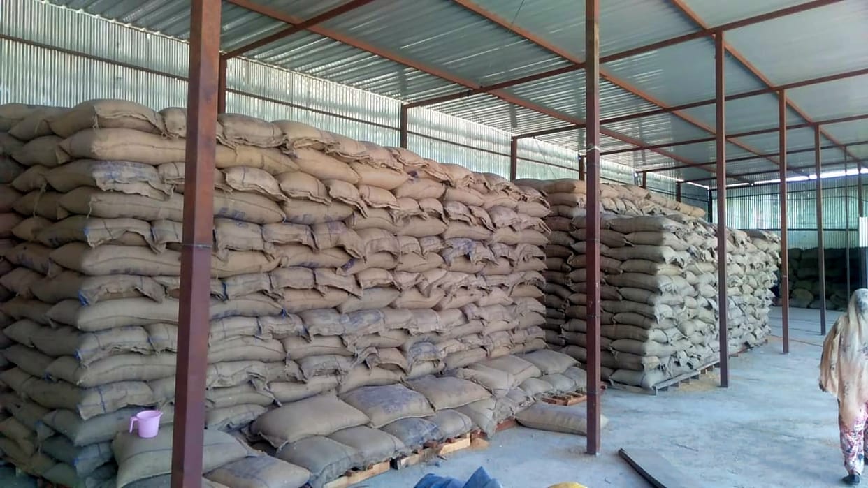 wheat crops production 50 percent discreasing in sirmaur district in this year