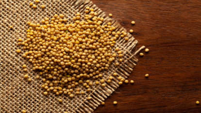 Peeli Sarso Ke Totke Upay Jyotish Upay of Yellow mustard seeds For money in Hindi