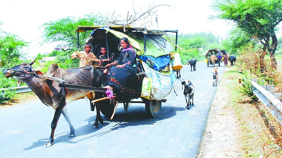Ground Report from border villages of Amritsar 