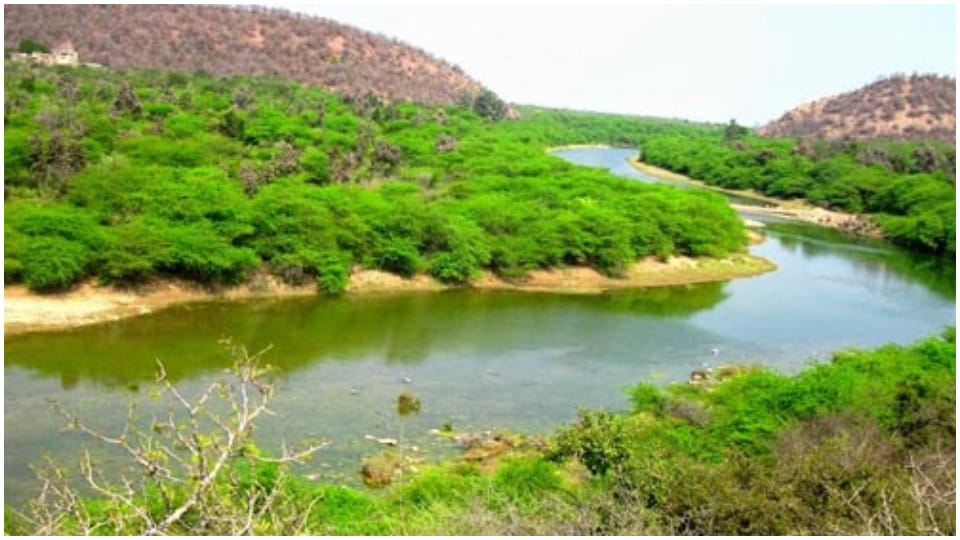 Ramgarh Vishdhari Sanctuary got status of Tiger Reserve four tiger reserves in Rajasthan