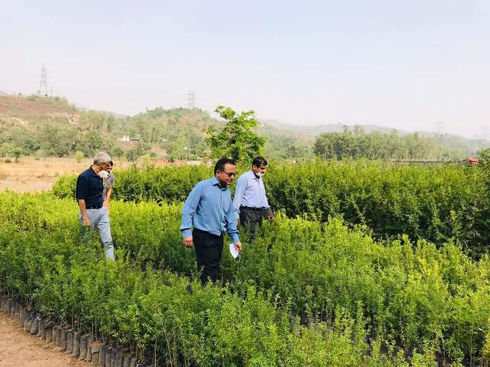 AIIMS Kothipura campus will be equipped with medicinal plants