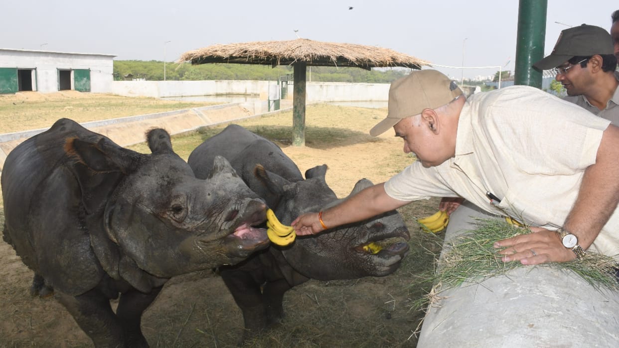 Chief Secretary fed fruits to Har and Gauri in Gorakhpur Zoo