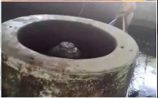 Gyanvapi case: Report on DU professor for posting inflammatory, derogatory post with latest picture of Shivling