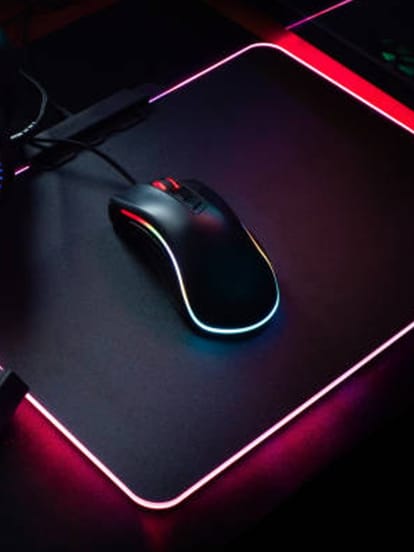 mouse