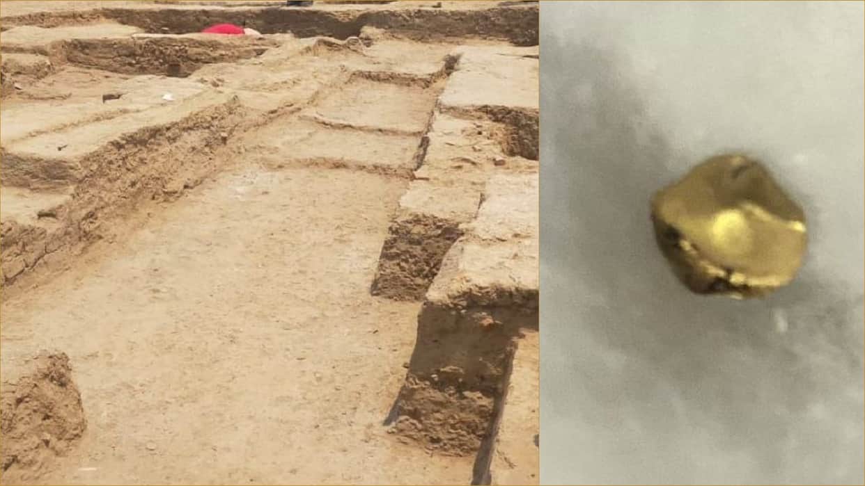 The people of the Harappan period also wore gold ornaments