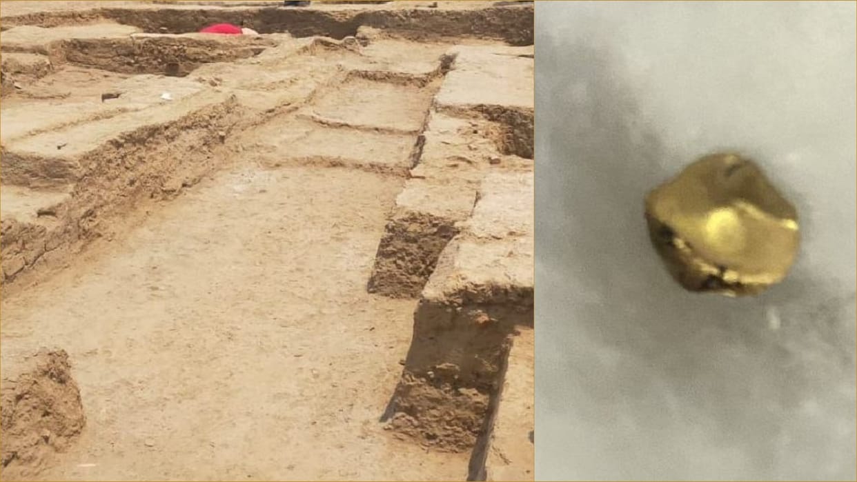 The people of the Harappan period also wore gold ornaments