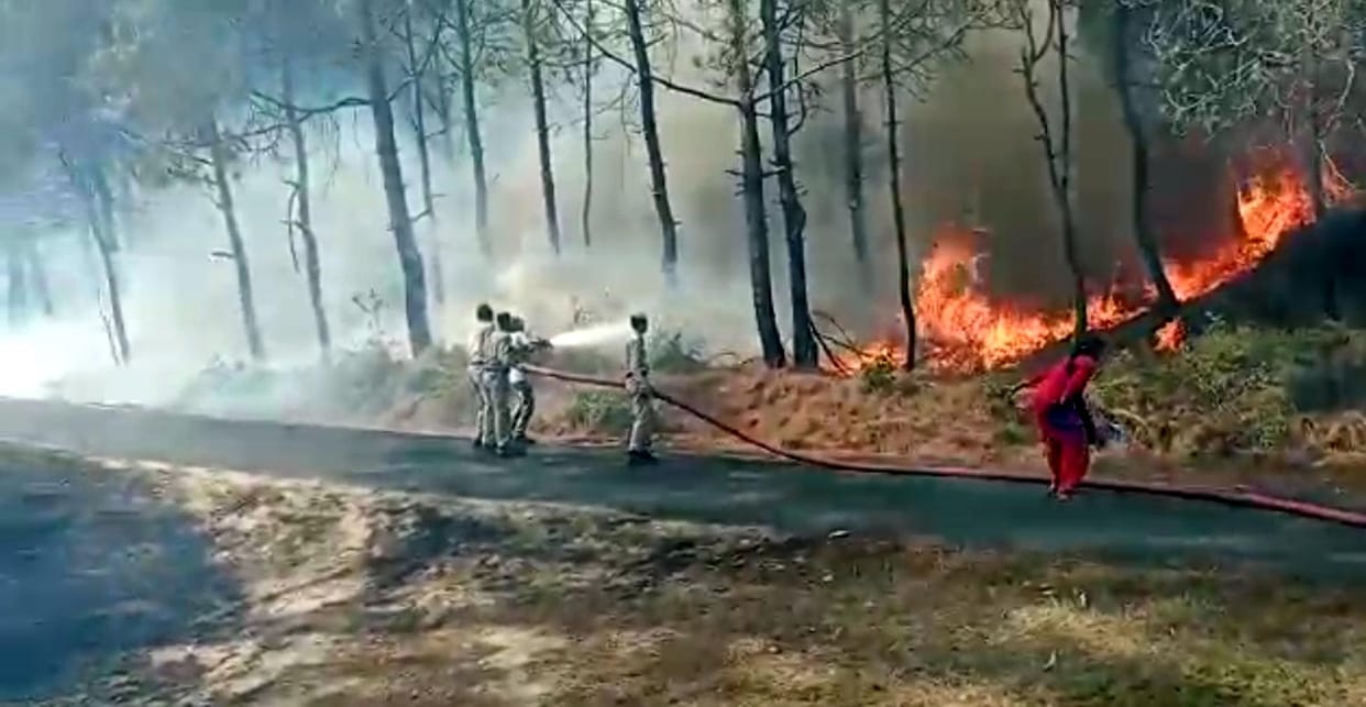 Residential houses and schools surrounded by forest fire in Darbeli