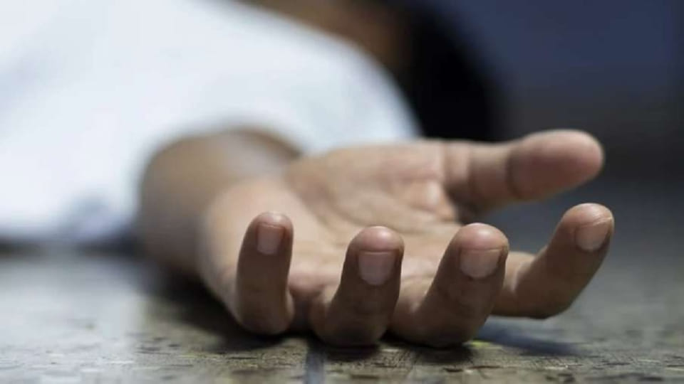 woman hanged herself in dholpur