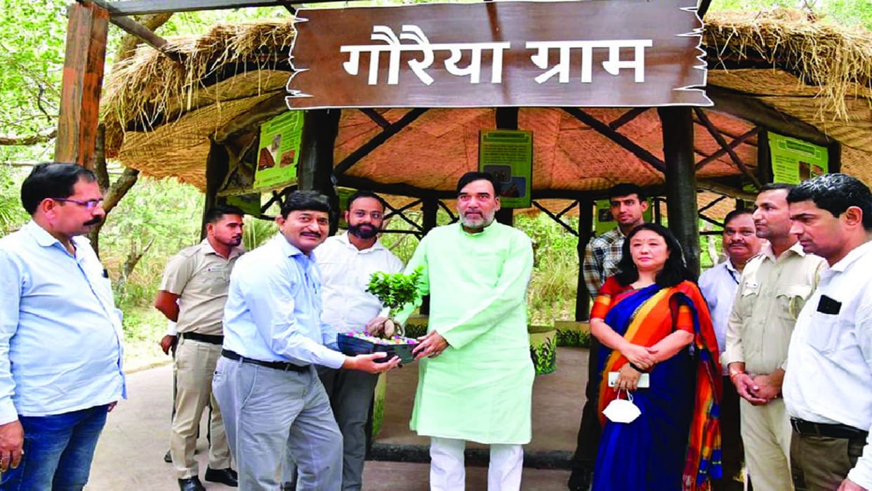 Delhi's state bird Sparrow will get protection in Mandu village, Environment Minister visited