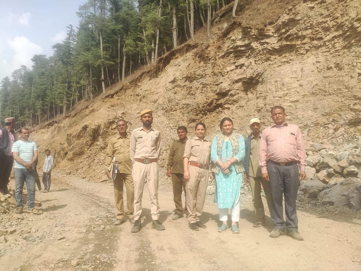 DFO did not find evidence of tree felling in Kando Bhatnol