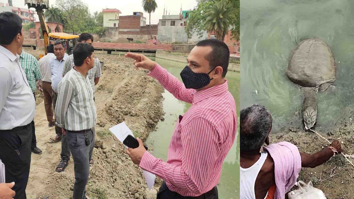 Turtle pond will be improved by 70 lakhs