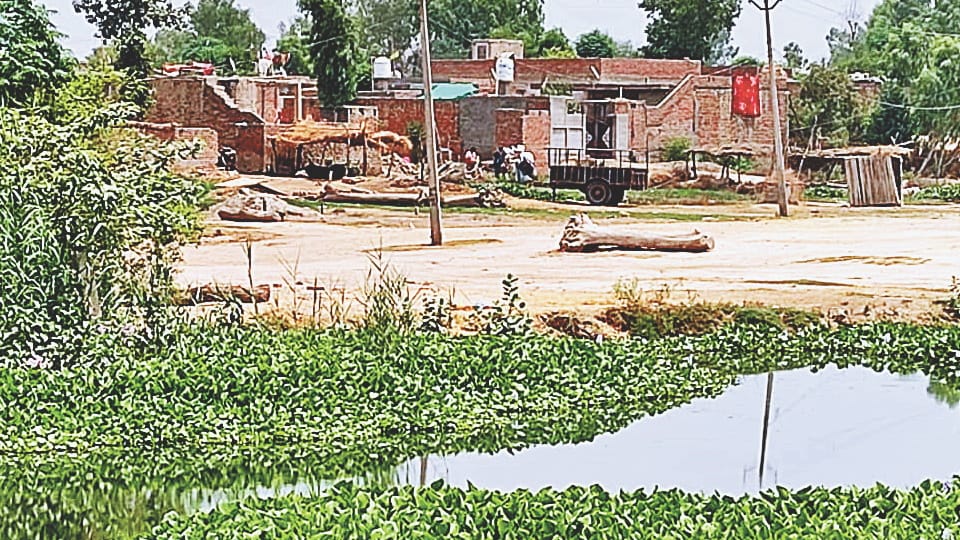 Gram Panchayats doing good work will be rewarded