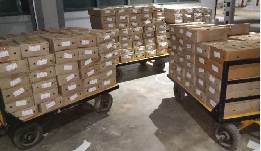 Two tons of ladyfinger could not go from the varanasi airport to Sharjah