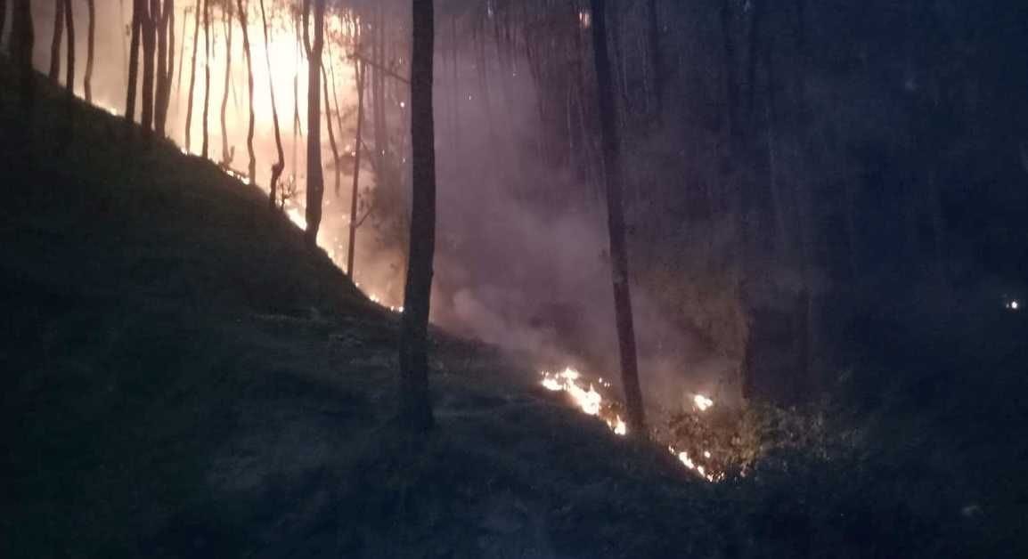 Forest fire In Bageshwar