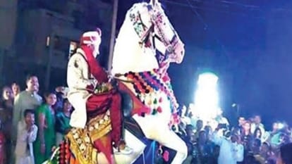 Indore: License will have to be taken to make mare, camel dance in marriage or other ceremony, if animals are tortured, FIR will be made