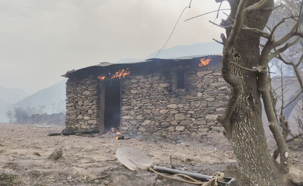 11 cowsheds burnt to ashes, 17 cattle burnt alive